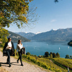 0017_Spiez_Schoene Aussichten Touristik-weinberg-bucht-thunersee-herbst